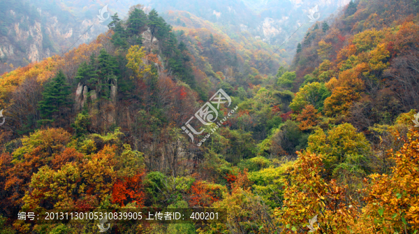 伏牛山老界嶺的秋季風(fēng)光
