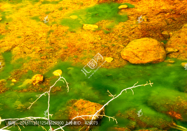 山溪水草
