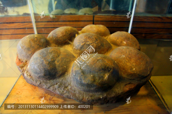 恐龍蛋化石