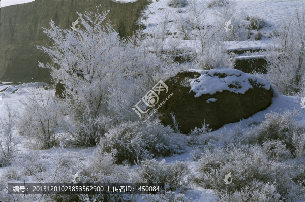 霧凇,冬季雪原,冰天雪地