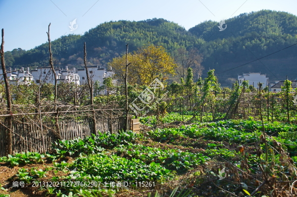 原生態(tài)小路