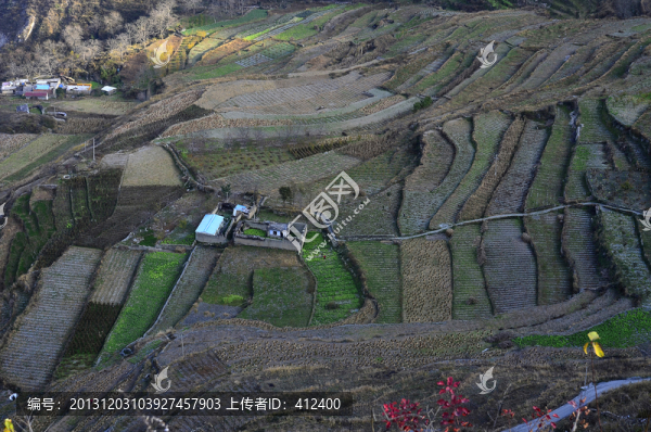 深山田園