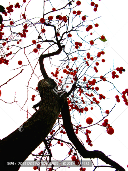 漫天紅星