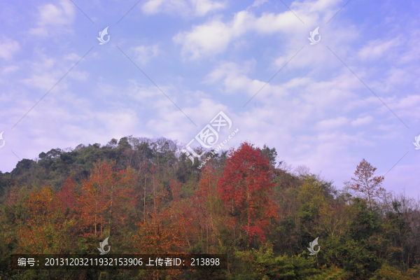 秋天風景
