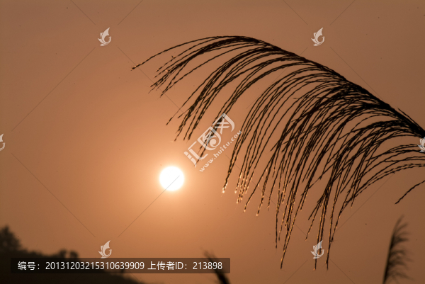 日出