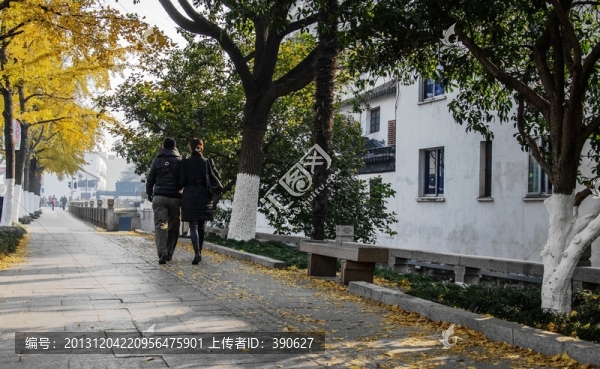 秋天的街道