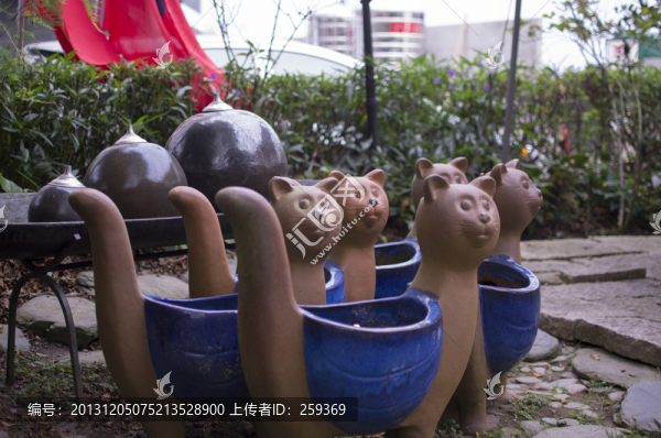 可愛的貓