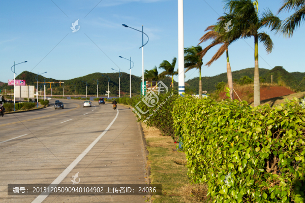 城市綠化