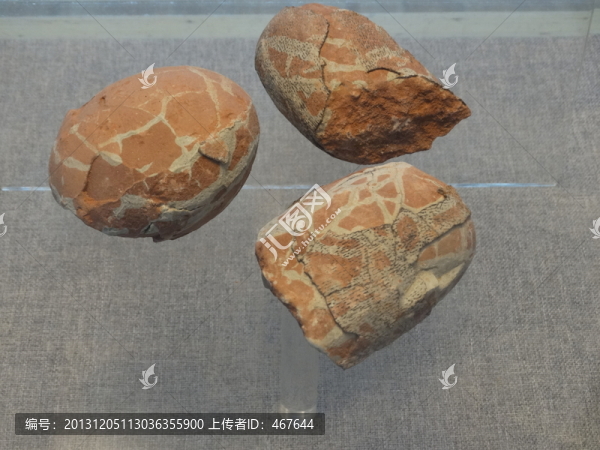 暖色調(diào)恐龍蛋化石微距JPG高清