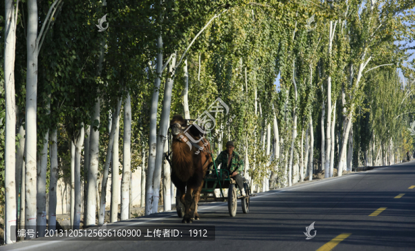毛驢車