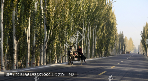 毛驢車