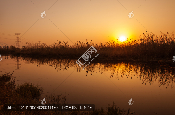 蘆花