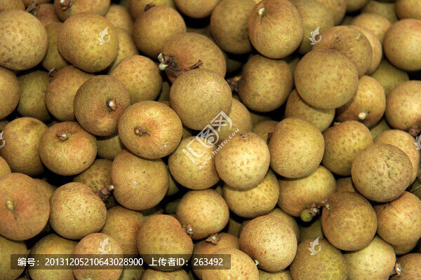 桂圓
