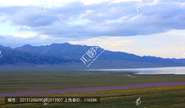 花海