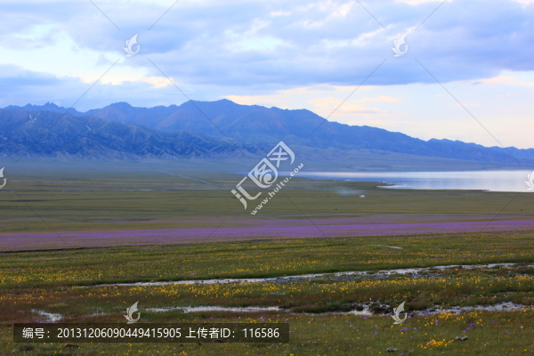 花的海洋