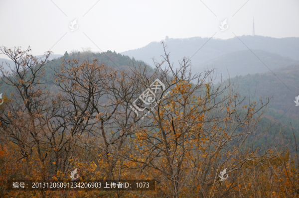 深秋瑯琊