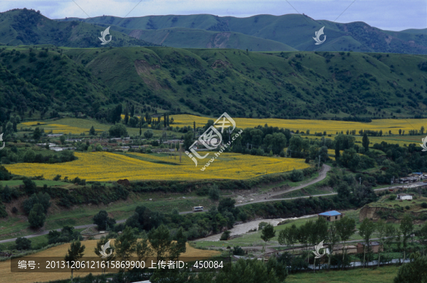 山野,鞏留,庫(kù)爾德寧,綠河谷
