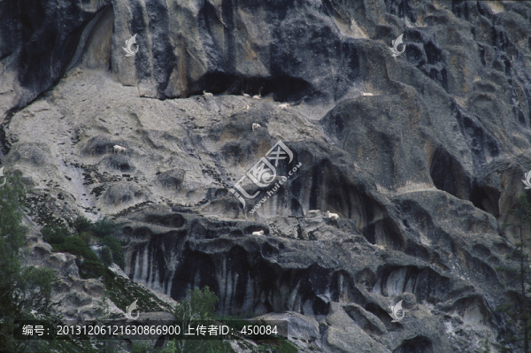 花崗巖,地形,山羊,攀登,險峻