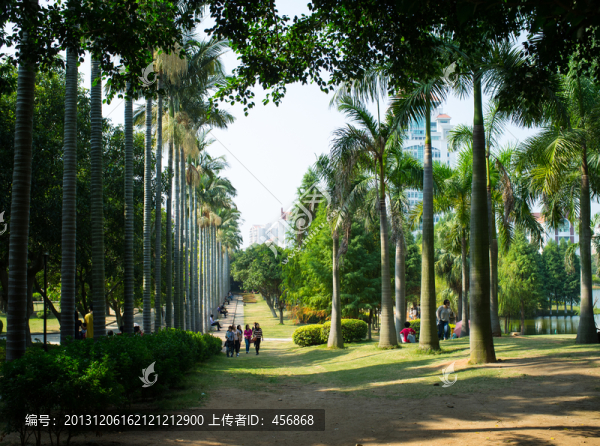 廈門大學(xué)校園