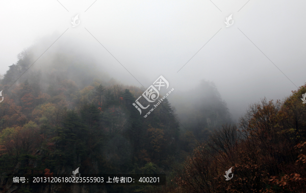 云霧籠罩的伏牛山老界嶺