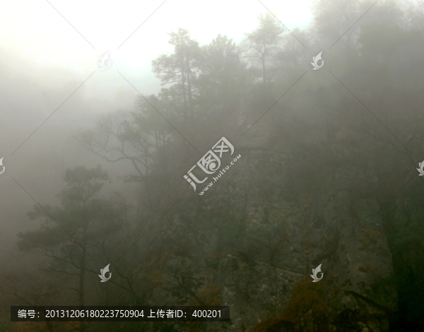 濃霧中的山林