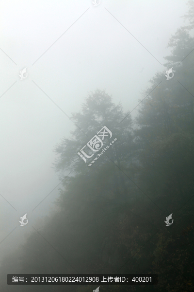濃霧中的山林
