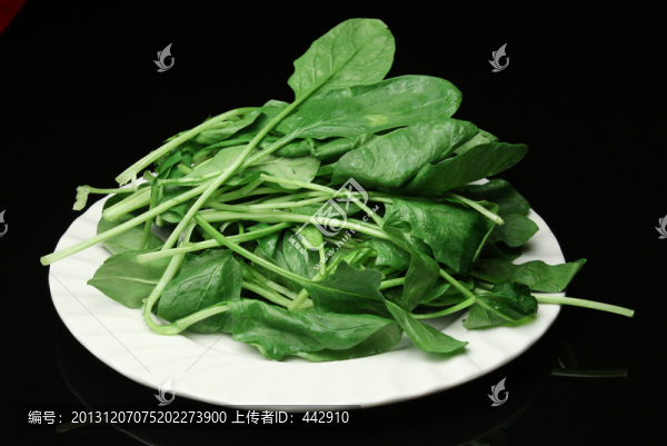 菠菜