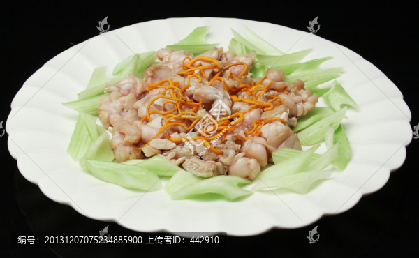 蟲草花蒸牛蛙