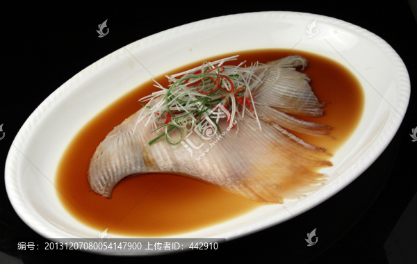 美極鯊魚翅