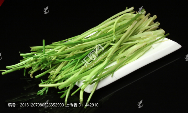水芹菜