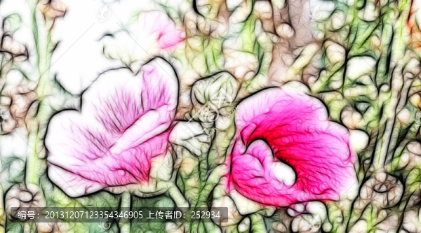 花兒