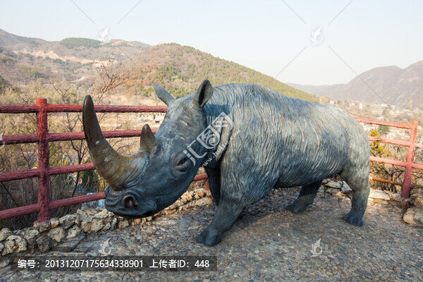 獨(dú)角犀