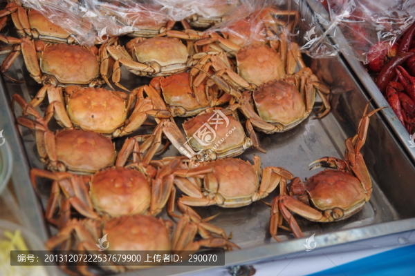 螃蟹,陽澄湖大閘蟹,河蟹