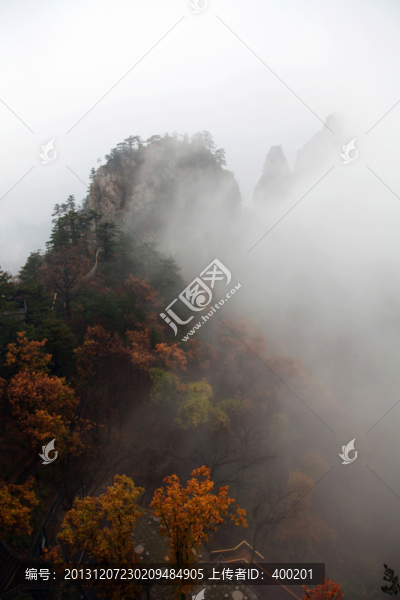 云遮霧罩的伏牛山老界嶺
