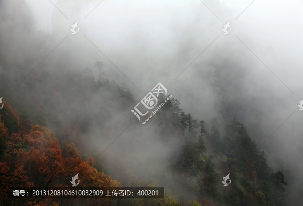 云遮霧罩的伏牛山老界嶺
