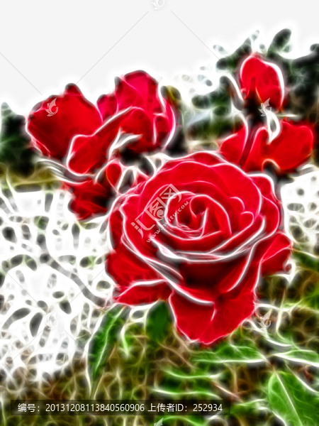 花兒