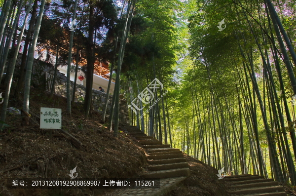 原生態(tài)竹園