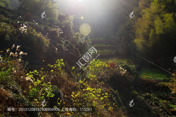 原生態(tài)山溝