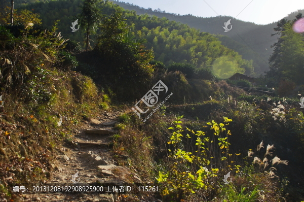 原生態(tài)小路