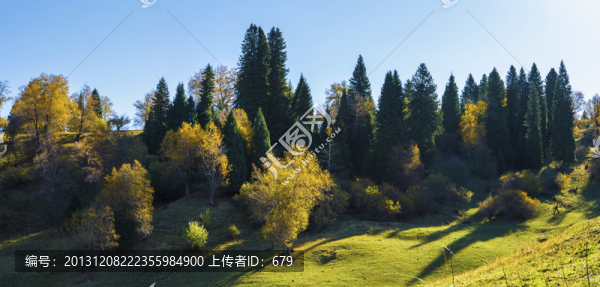 天山深處