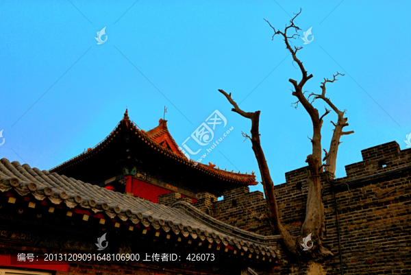 古城門樓古樹