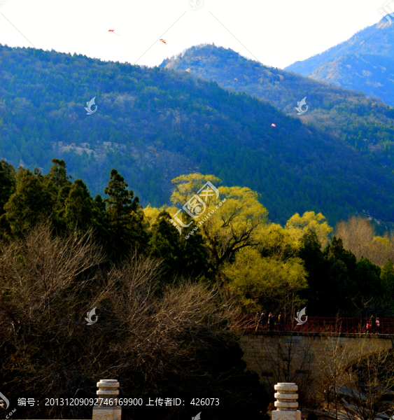 大山春色