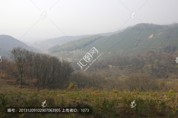 深秋群山茶園