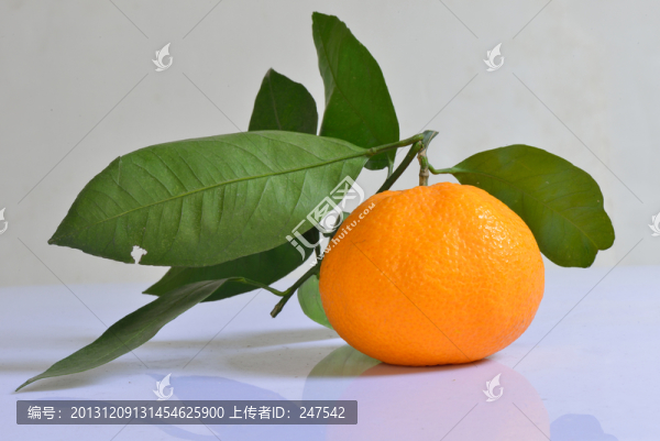 桔子