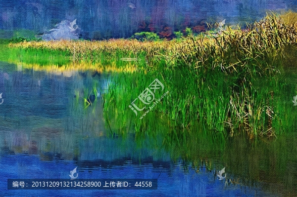 蘆葦,油畫