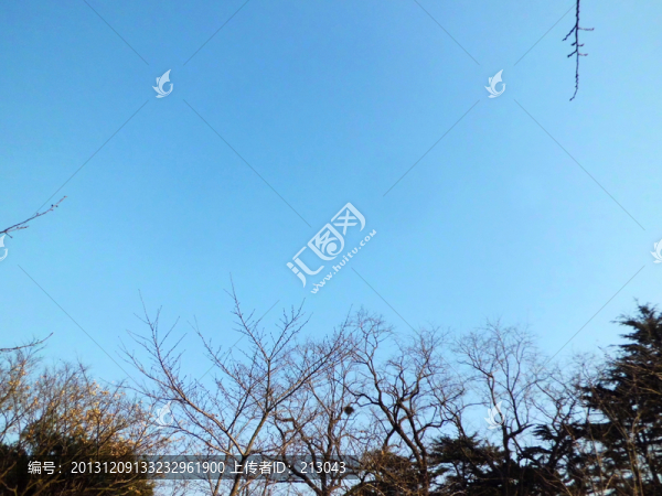 藍天