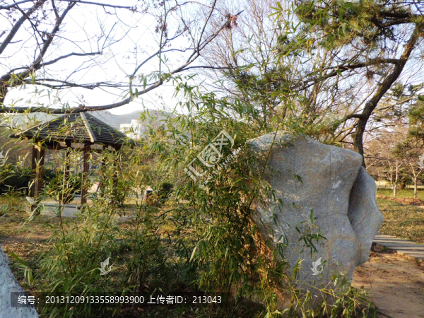 公園一隅