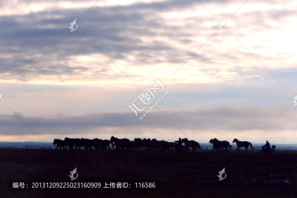 馬