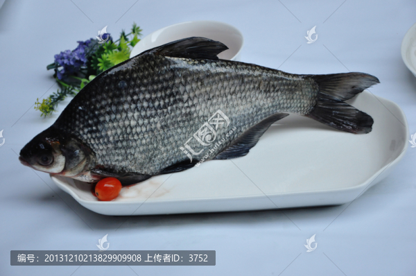 鯧魚