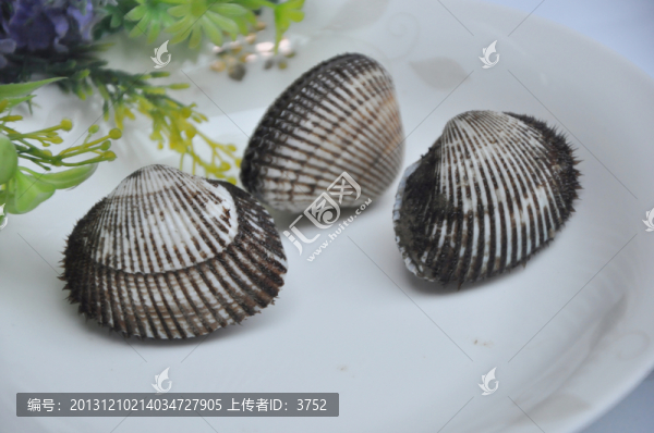 貝類